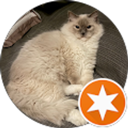 Profile photo of Peggy Schmeiderer