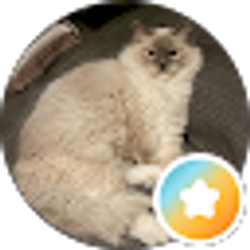 Profile photo of Peggy Schmeiderer