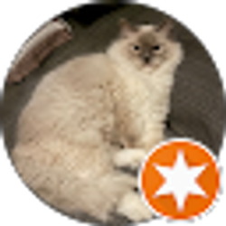 Profile photo of Peggy Schmeiderer