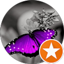 Profile photo of Sabba Adams