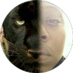 Profile photo of LuSid Records