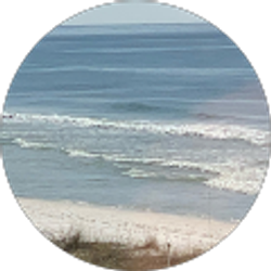 Profile photo of Evan Huntley