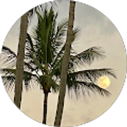 Profile photo of Cathi Taylor