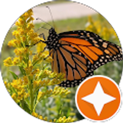 Profile photo of Elizabeth Del Bosque (PACATEX)