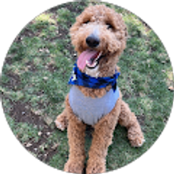 Profile photo of LOREN