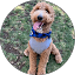 Profile photo of LOREN