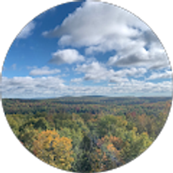 Profile photo of Austin Young