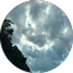 Profile photo of Alex Maine