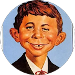 Profile photo of Steve C