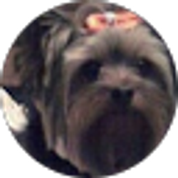 Profile photo of Cathy Neurauter