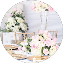 Profile photo of Deysi Yohana