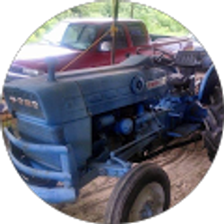 Profile photo of bernicelaredneck