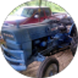 Profile photo of bernicelaredneck