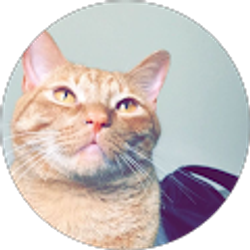 Profile photo of Karl Consing