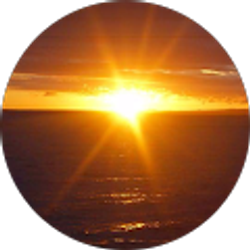 Profile photo of Dall M