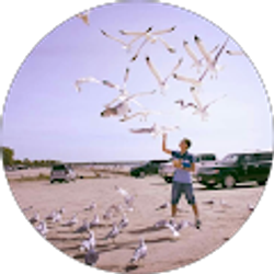 Profile photo of Lu Min