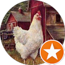 Profile photo of Denise Hearn