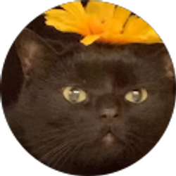 Profile photo of Dark
