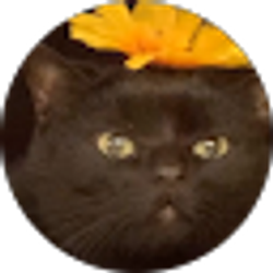 Profile photo of Dark