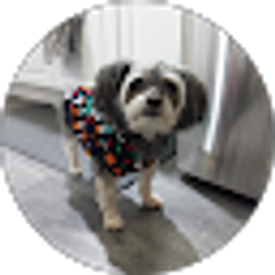 Profile photo of Labra Labra