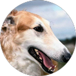 Profile photo of sofie williamson