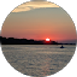Profile photo of Sue Rothe