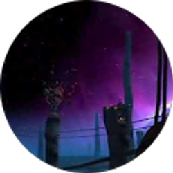 Profile photo of S Miller