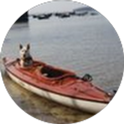 Profile photo of kim rebh