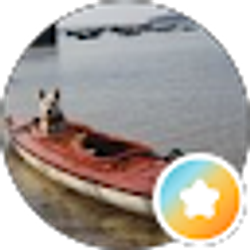 Profile photo of kim r