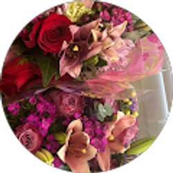 Profile photo of Irene B