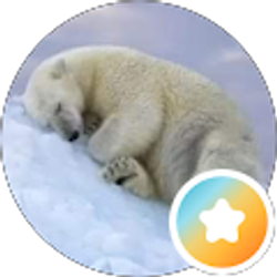 Profile photo of Liz Jet