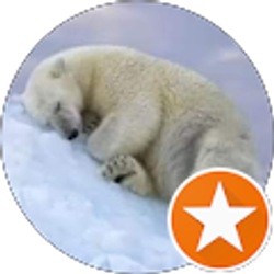 Profile photo of Liz Jet