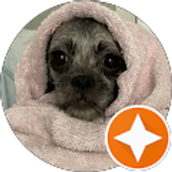 Profile photo of Hannah Miller