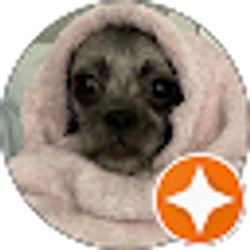 Profile photo of Hannah Miller