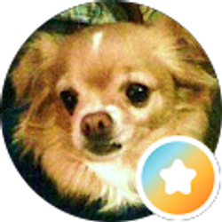 Profile photo of Carol Gustafson