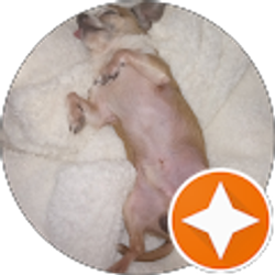 Profile photo of Angela Kinville