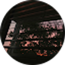 Profile photo of Wesley Williams