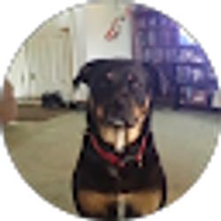 Profile photo of Brian Parkis