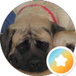 Profile photo of Ella Benson