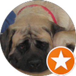 Profile photo of Ella Benson