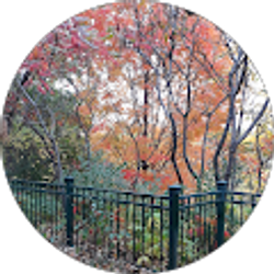 Profile photo of Mia Lee