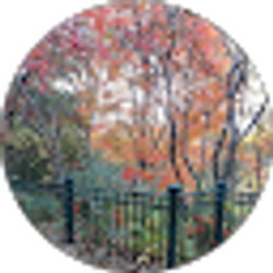 Profile photo of Mia Lee