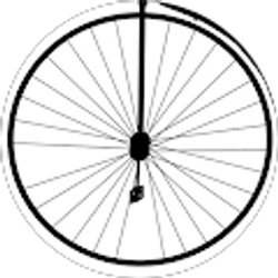 Profile photo of Griffzilla Swim