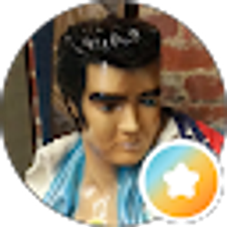 Profile photo of N P