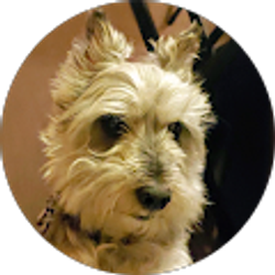 Profile photo of Camille Pirrone