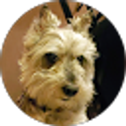 Profile photo of Camille Pirrone
