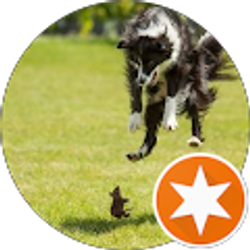 Profile photo of Kent Smith