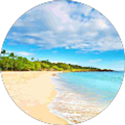 Profile photo of Jo-Ann Marshall