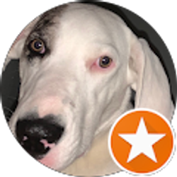 Profile photo of Carlos Alvarez