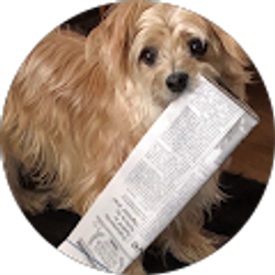 Profile photo of Dee Hall